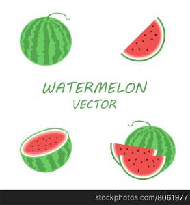 Vector flat watermelon icons set. Vector flat watermelon icons set on white background