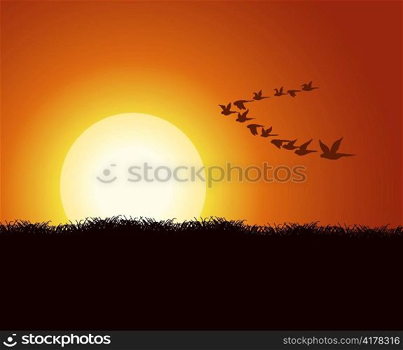 vector flock of birds with summer background