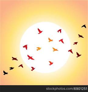 vector flock of flying birds and bright sun