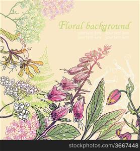 vector floral background with blooming garden flowers