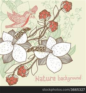 vector floral background with blooming magnolia and red berries