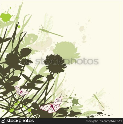 vector floral background with clover flowers and dragonfly