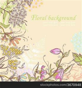 vector floral background with hand-drawn blooming flowers