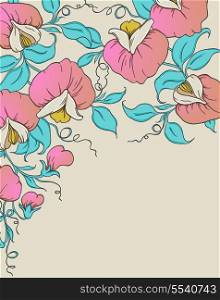 Vector floral background with pink sweet pea