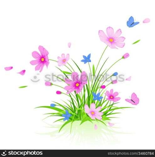 vector floral background with red cosmos flowers
