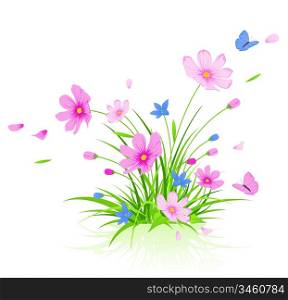 vector floral background with red cosmos flowers