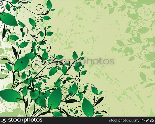 vector floral background with splash