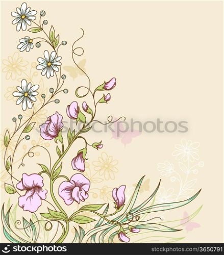 Vector floral background with sweet pea and butterflies