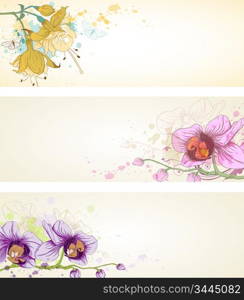 Vector floral banners with butterflies and orchids