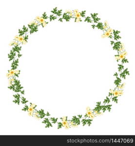 Vector floral concept of circle frame