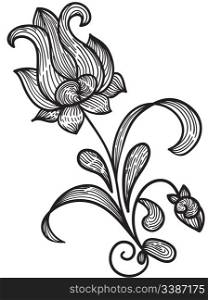 vector floral design element, vintage