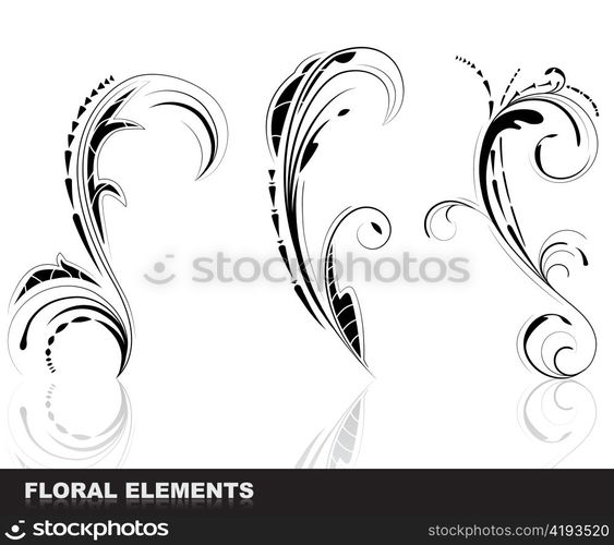 vector floral elements
