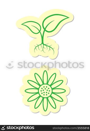 Vector Floral Icons Isolated on White Background