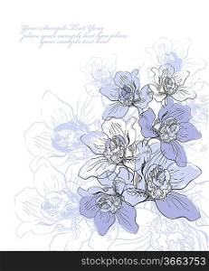 vector floral illustration of blooming orchids