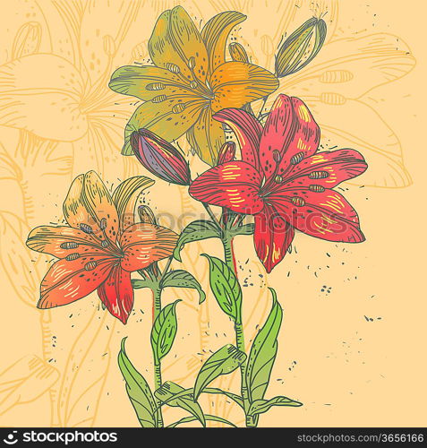 vector floral illustration of fresh blooming lilies