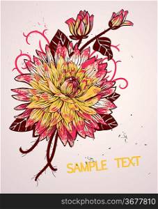 vector floral illustration with a colorful blooming chrysanthemum