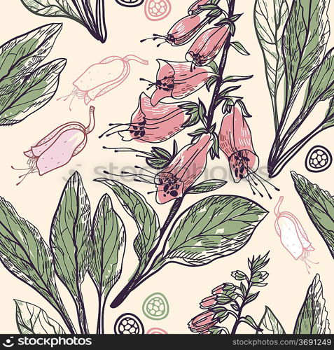 vector floral seamless pattern with blooming digitalis