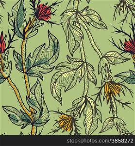 vector floral seamless pattern with hand drawn thistle
