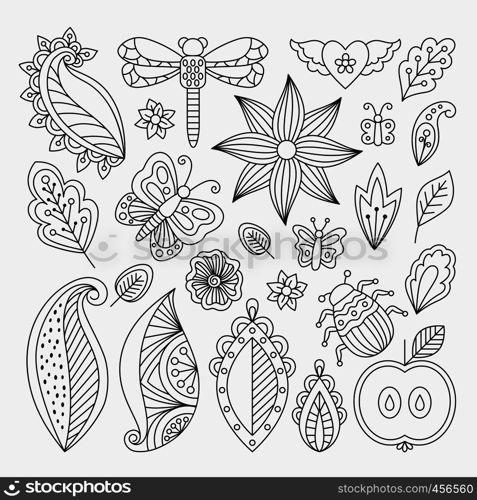 Vector floral set with leaves and herbs, bugs and butterflies. Summer theme elements for invitation, wedding or greeting cards. Floral line elements set