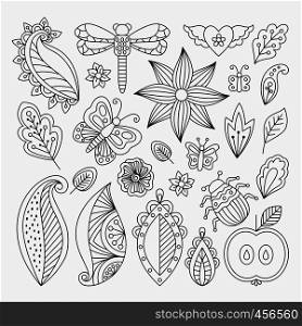Vector floral set with leaves and herbs, bugs and butterflies. Summer theme elements for invitation, wedding or greeting cards. Floral line elements set