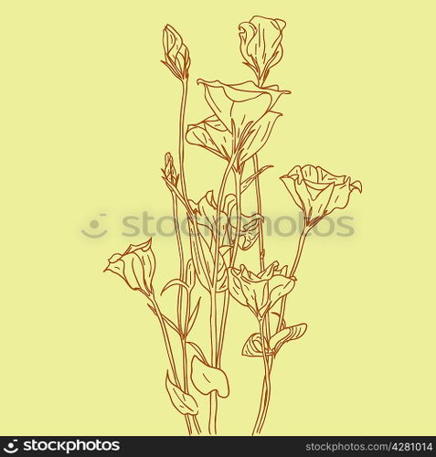 vector flower background