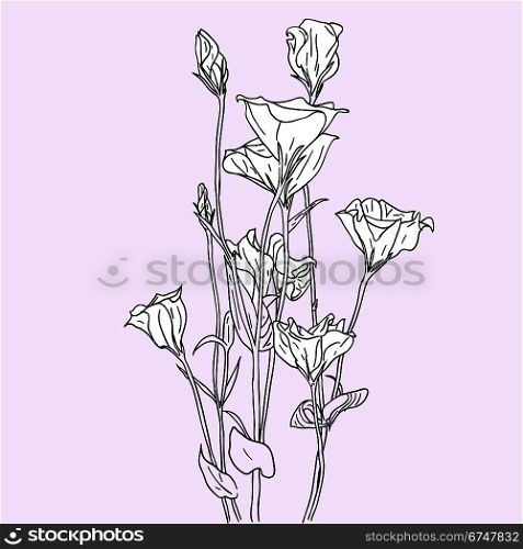 vector flower background