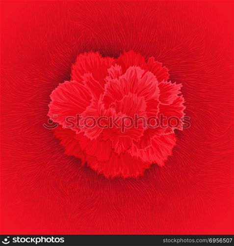 Vector flower of Carnation. Juicy burgeon blossom of carnation. Author&rsquo;s texture from flower petals fibers. Vector design element