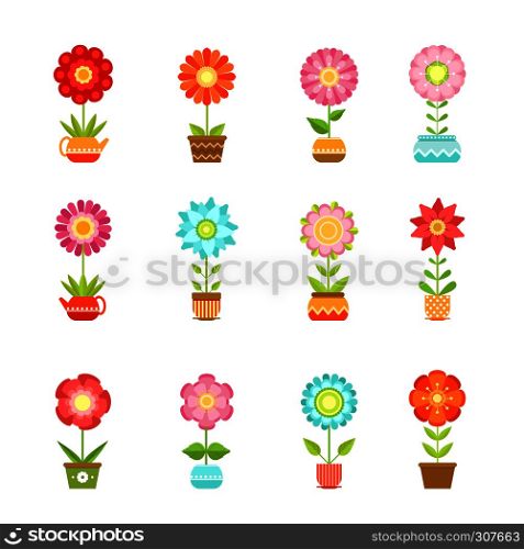 Vector flowers in different pots. Floral set isolate on white background. Color flowers plant, illustration of garden flowers in pot. Vector flowers in different pots. Floral set isolate on white background