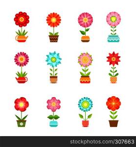Vector flowers in different pots. Floral set isolate on white background. Color flowers plant, illustration of garden flowers in pot. Vector flowers in different pots. Floral set isolate on white background