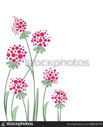 Vector flowers in the garden. Vector flowers in the garden on a white background