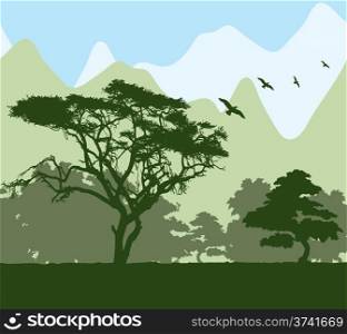 vector forest and mountains