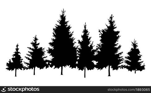 vector forest fir trees isolated on white background. spring or summer woods, nature landscape with evergreen coniferous pine trees. woodland scene illustration