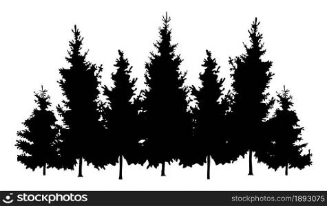 vector forest fir trees isolated on white background. spring or summer woods, nature landscape with evergreen coniferous pine trees. woodland scene illustration