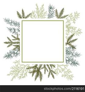 Vector frame with Christmas plant. Hand-drawn ilustration.. Christmas plants set.