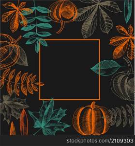 Vector frame with hand-drawn autumn leaves and pumpkins. Vector illustration.. Vector frame with leaves and pumpkins.