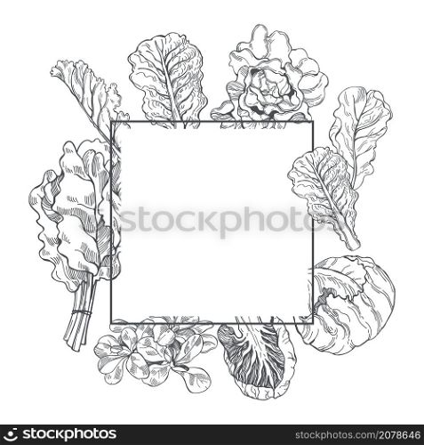 Vector frame with hand drawn different kinds of lettuce. . Hand drawn lettuce. Vector frame.