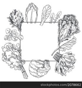 Vector frame with hand drawn different kinds of lettuce. . Hand drawn lettuce. Vector frame.