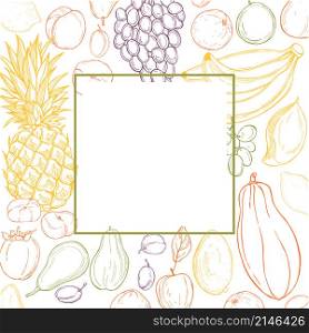 Vector frame with hand drawn fruits on white background. Sketch illustration.. background with hand drawn fruits.