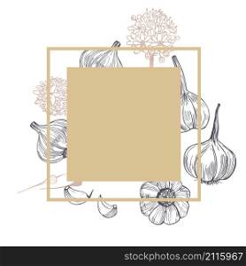 Vector frame with hand drawn garlic. Sketch illustration