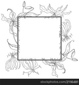 Vector frame with hand drawn gloriosa flower.