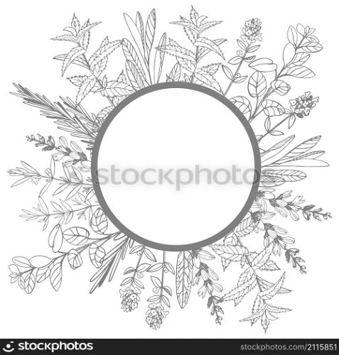 Vector frame with hand drawn herbs. Sketch illustration.. Vector frame with hand drawn herbs.