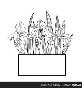 Vector frame with hand-drawn iris flowers. . Hand-drawn iris flowers.Vector sketch illustration