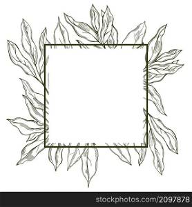 Vector frame with hand drawn laurel plant. Sketch illustration. Vector frame with laurel plant. Sketch illustration