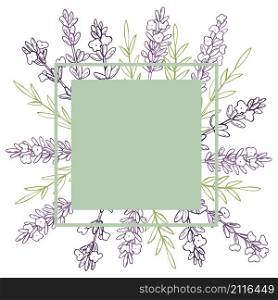 Vector frame with hand drawn lavender.Sketch illustration.. Hand drawn lavender.