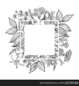 Vector frame with hand drawn medicinal herbs. Sketch illustration.. Medicinal herbs. Vector frame