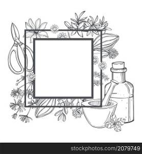 Vector frame with hand drawn medicinal herbs. Sketch illustration.. Medicinal herbs. Vector frame