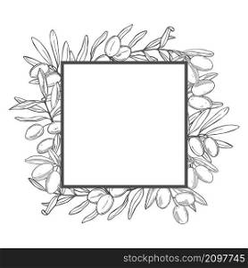Vector frame with hand drawn olive. Sketch illustration.. Vector white background with olive
