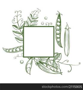 Vector frame with hand drawn peas.. Hand drawn peas. Vector sketch illustration.