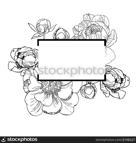 Vector frame with hand drawn peonies. Sketch illustration