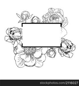 Vector frame with hand drawn peonies. Sketch illustration